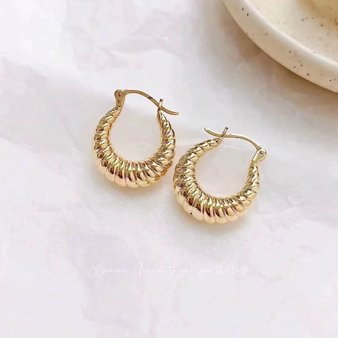 Arya Hoops Earrrings