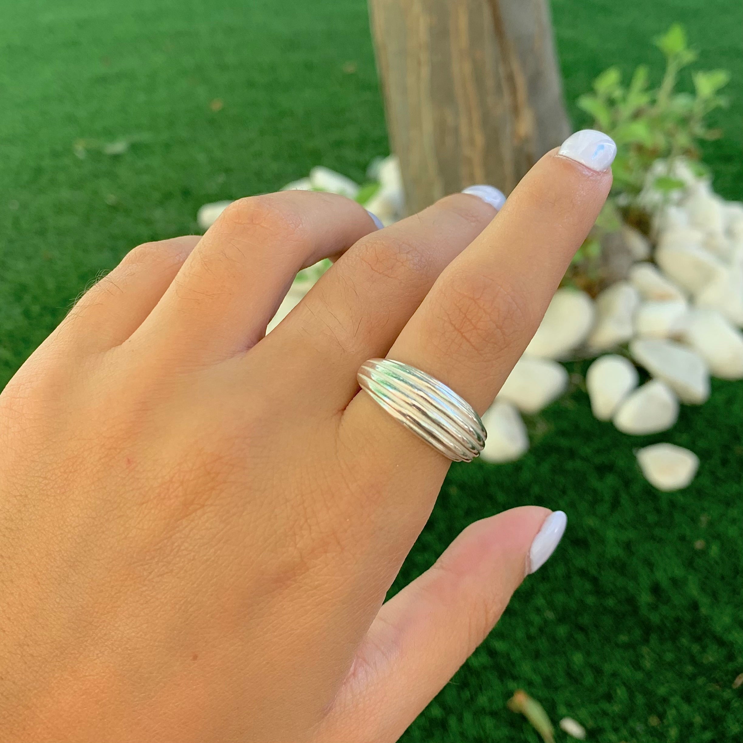 טבעת פסים של פלורידה