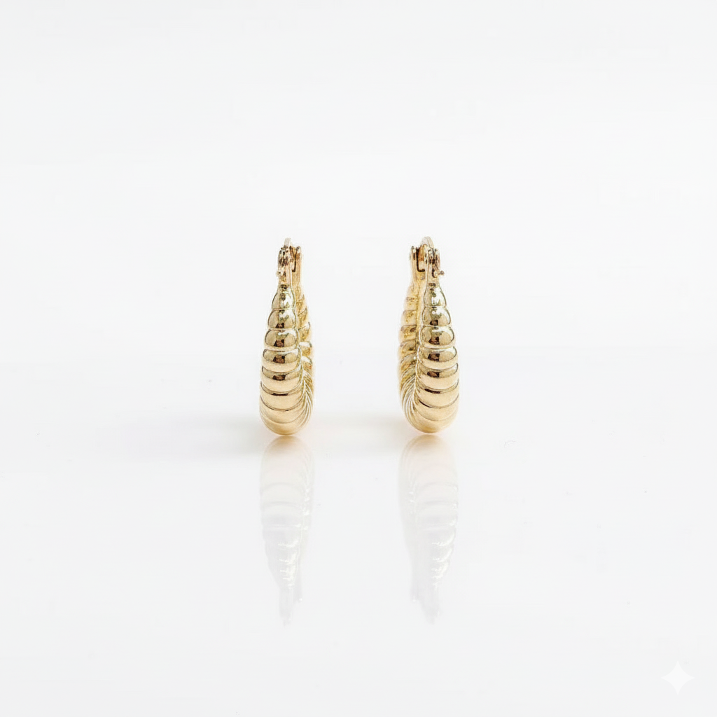 Arya Hoops Earrrings