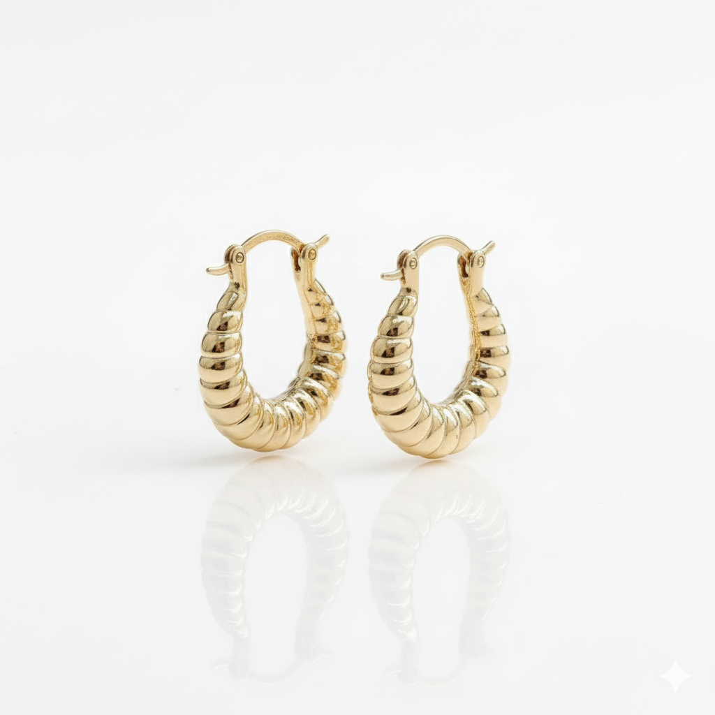 Arya Hoops Earrrings