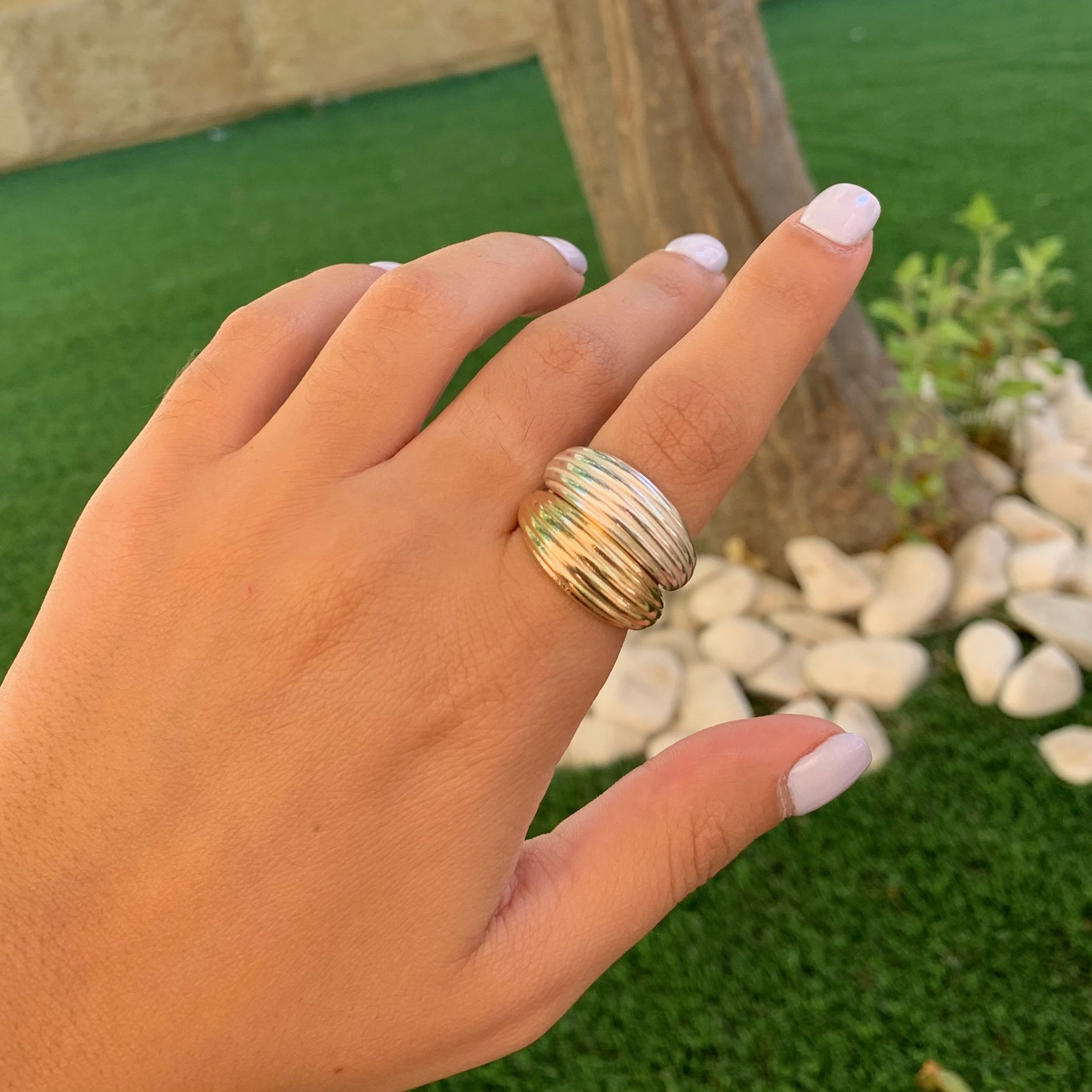 טבעת פסים של פלורידה