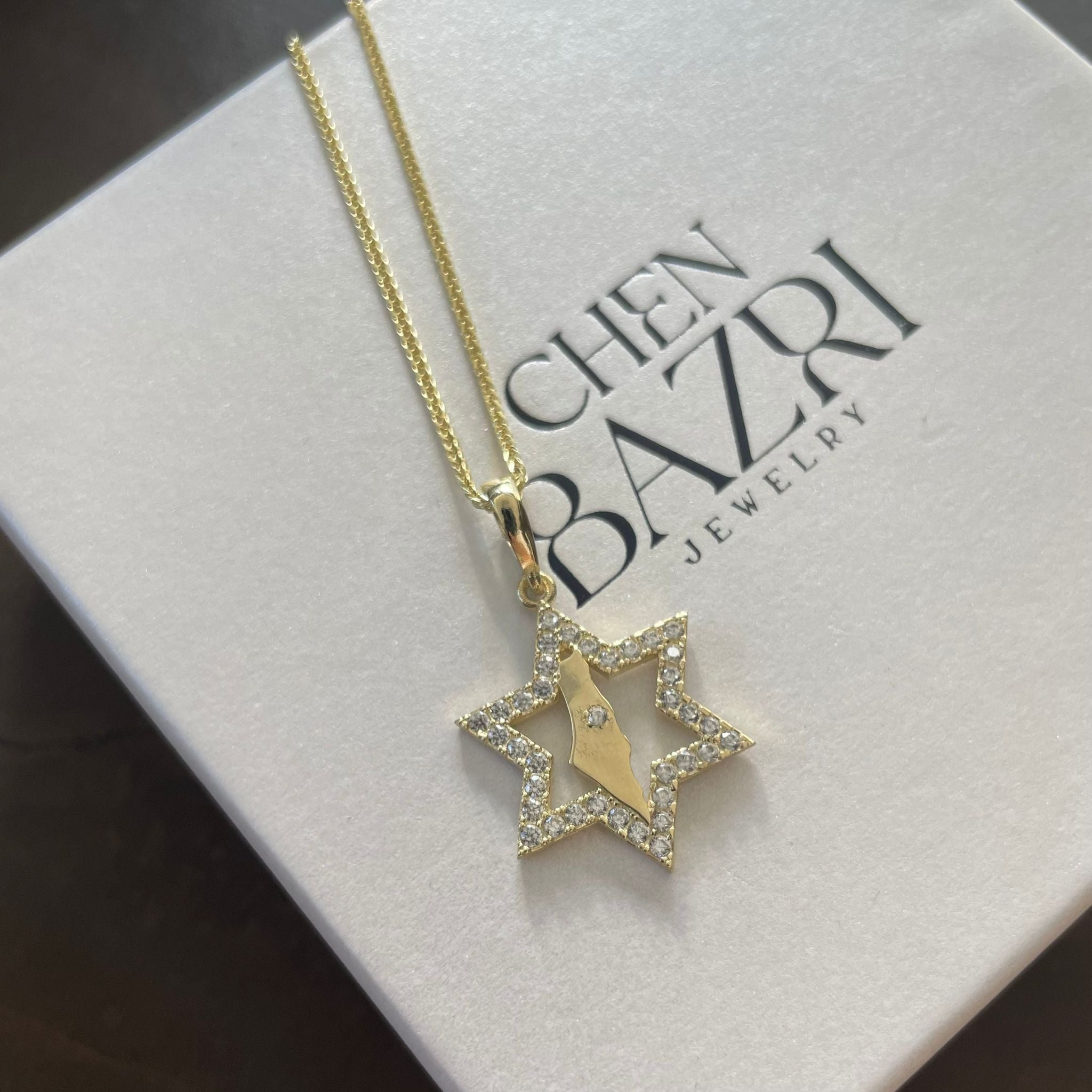 Magen David Necklace with Israel map 14K